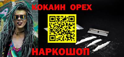 СК Бийск
