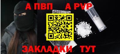 СК Бийск